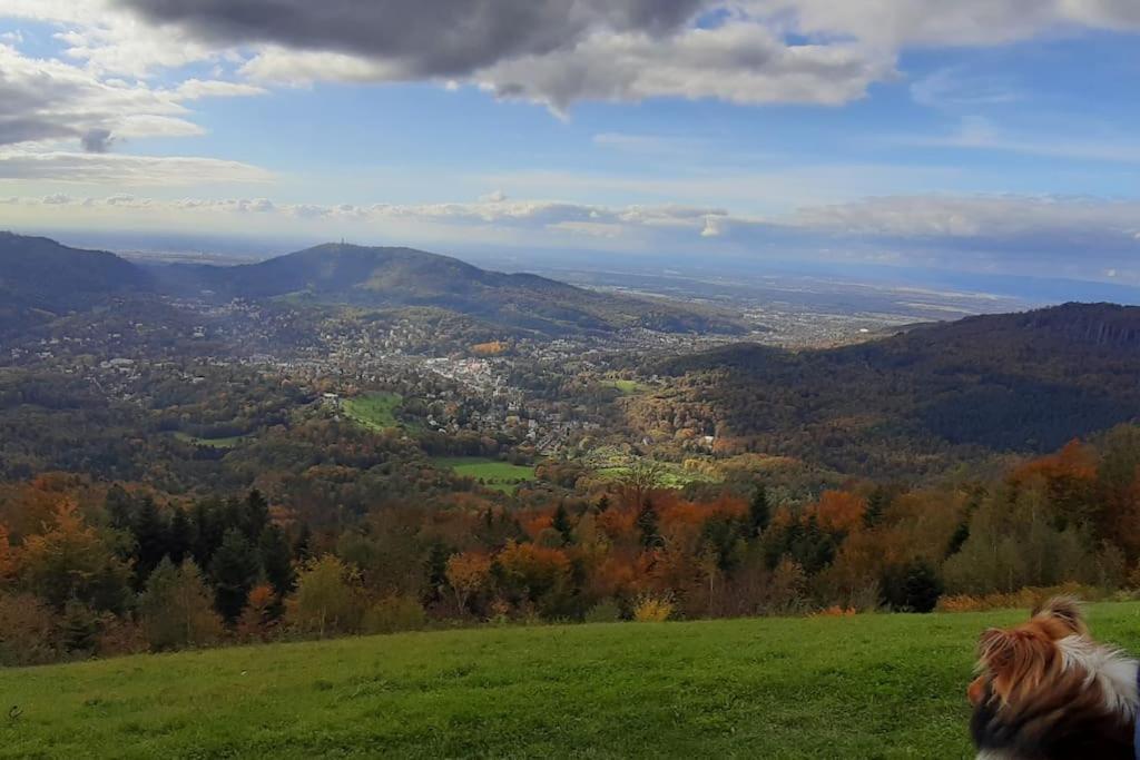 Ferienwohnung Baden Baden Rastatt Elsass Хюгельсхайм Экстерьер фото